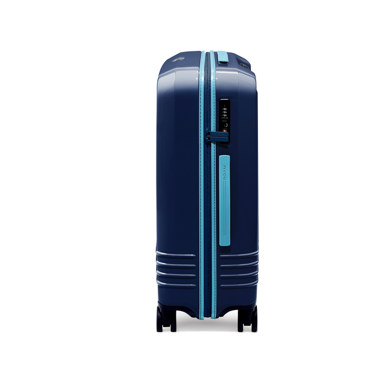 Spring Check-In Expandable