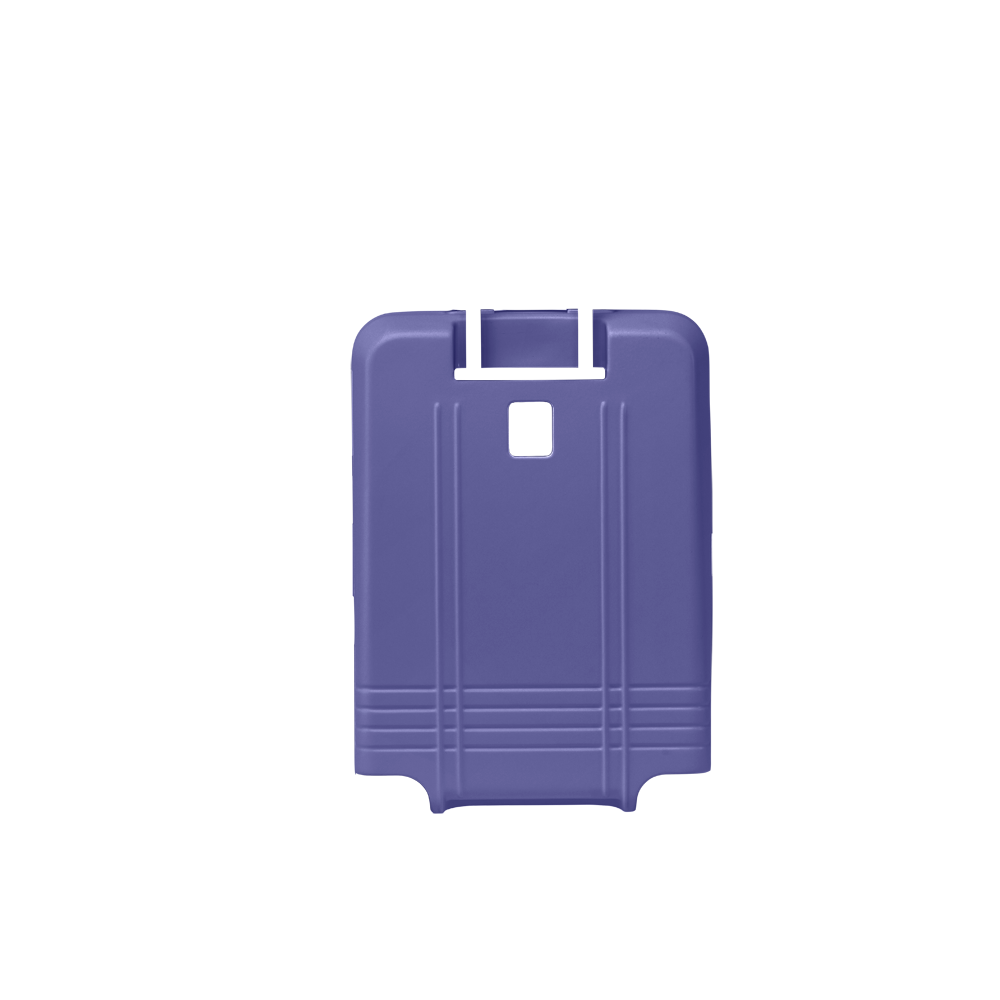 luggage check in back shell in carolina lilac