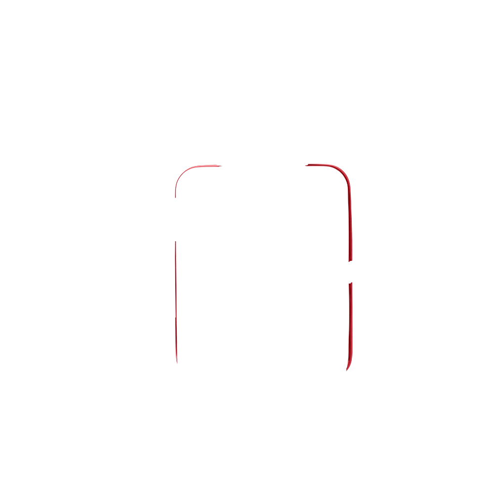 luggage binding in toledo red